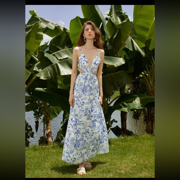 Dresses & Skirts - Toile de jouy open back long Dress!!